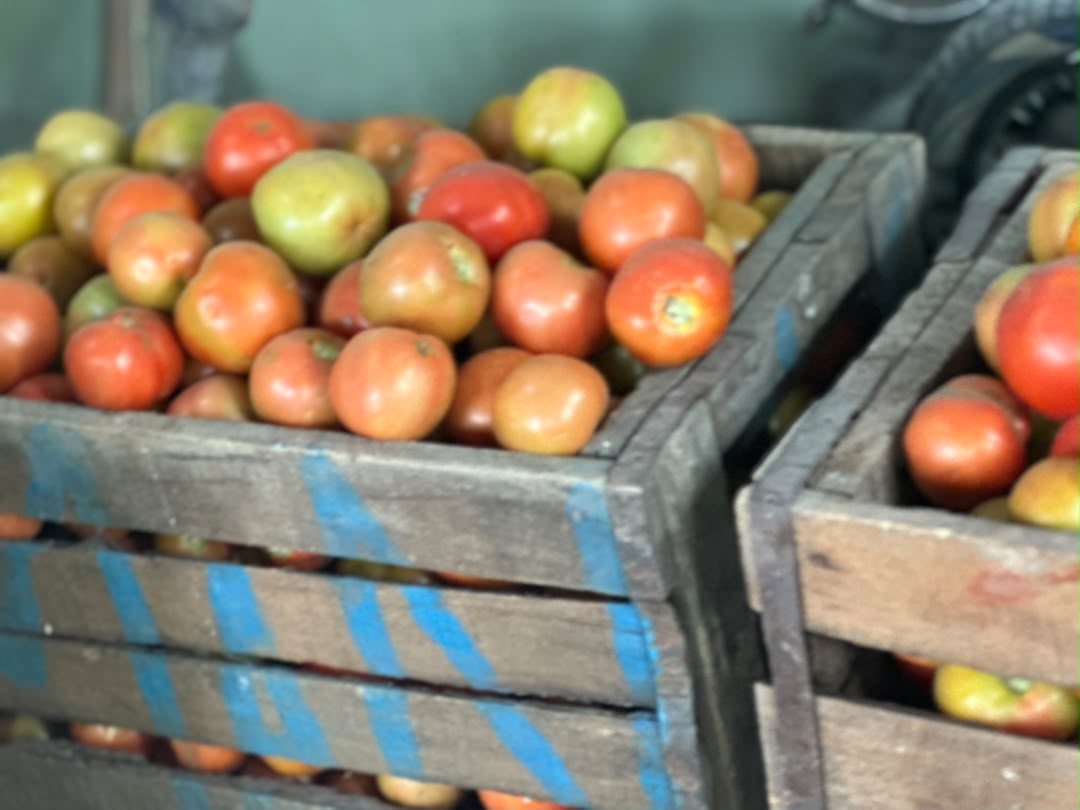 Fresh Kaptai Farms crop and farm scene